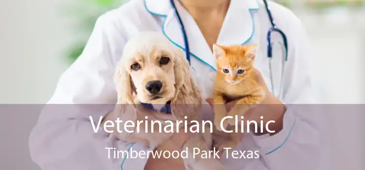 Veterinarian Clinic Timberwood Park Texas