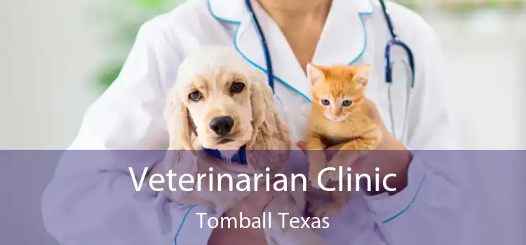 Veterinarian Clinic Tomball Texas