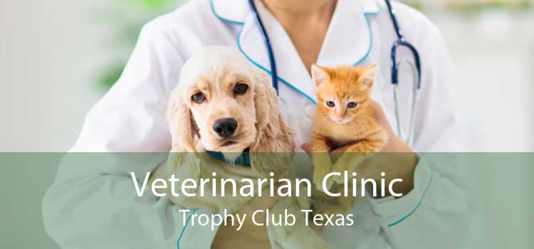 Veterinarian Clinic Trophy Club Texas