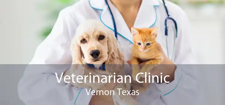 Veterinarian Clinic Vernon Texas