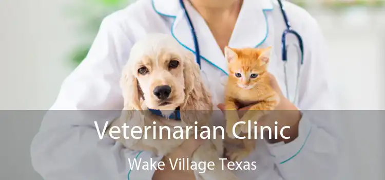 Veterinarian Clinic Wake Village Texas