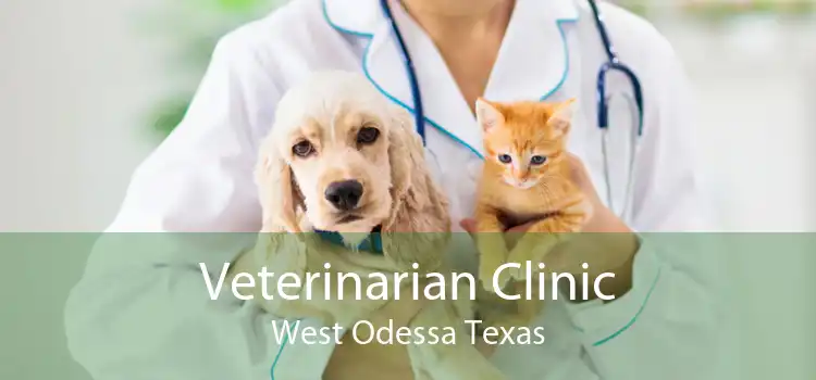 Veterinarian Clinic West Odessa Texas