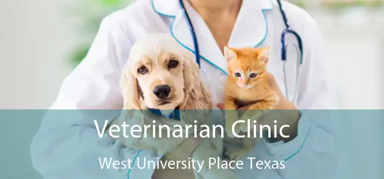 Veterinarian Clinic West University Place Texas