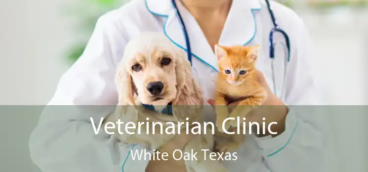 Veterinarian Clinic White Oak Texas