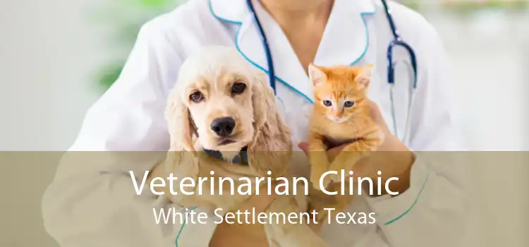 Veterinarian Clinic White Settlement Texas