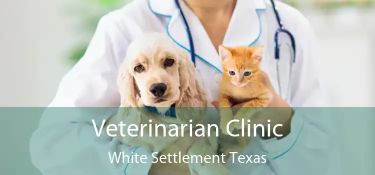 Veterinarian Clinic White Settlement Texas