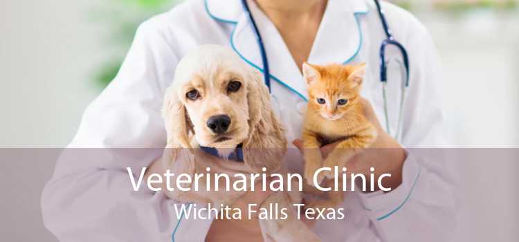 Veterinarian Clinic Wichita Falls Texas