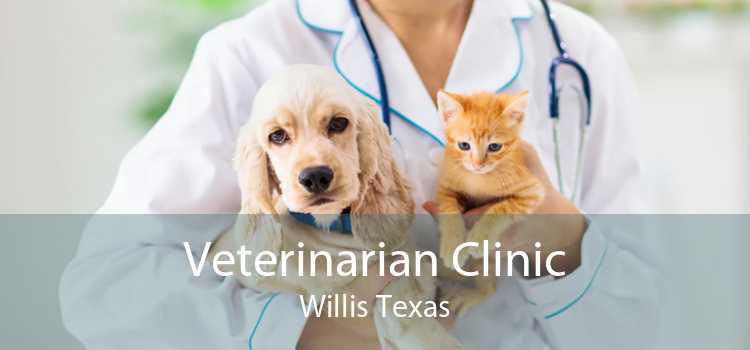 Veterinarian Clinic Willis Texas