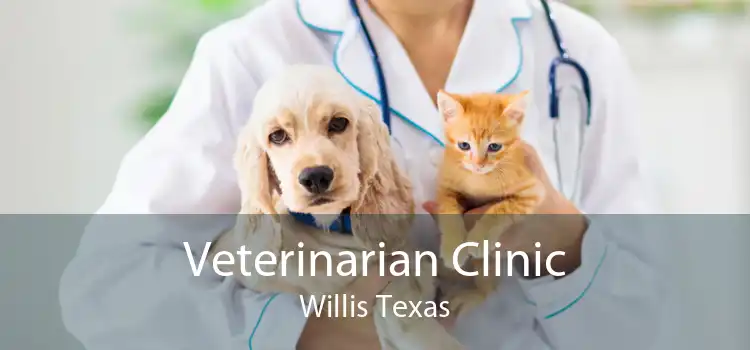 Veterinarian Clinic Willis Texas