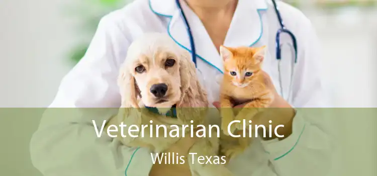 Veterinarian Clinic Willis Texas