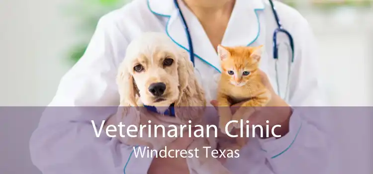Veterinarian Clinic Windcrest Texas