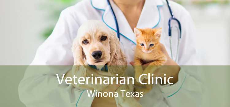 Veterinarian Clinic Winona Texas