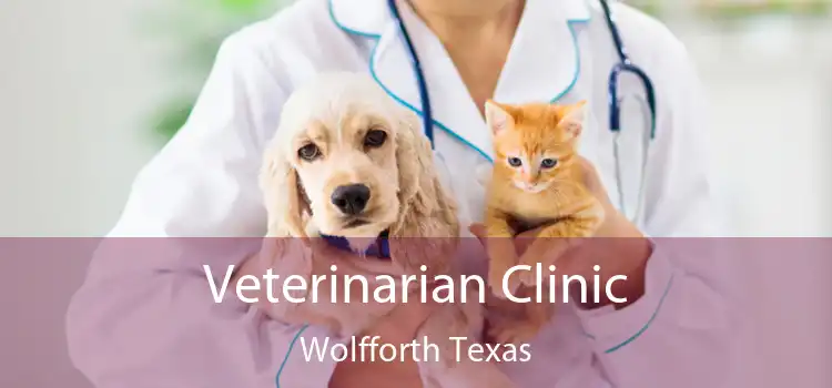 Veterinarian Clinic Wolfforth Texas