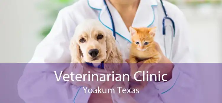Veterinarian Clinic Yoakum Texas